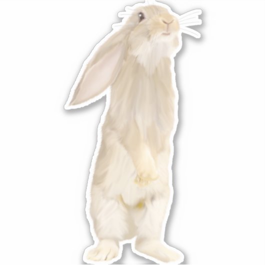 Schattig pluizig konijn sticker (Voorkant)