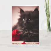 Schattig pluizig zwart Valentijns Kitten Kaart (Voorkant)