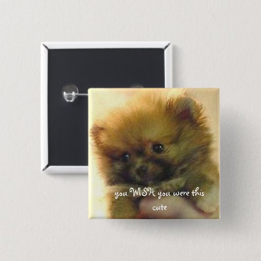 schattig pommern vierkante button 5,1 cm (Voorkant /achterkant)