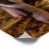 Schattig Poster (Hoek)