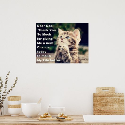 Schattig Poster Praying Kitten (Keuken)