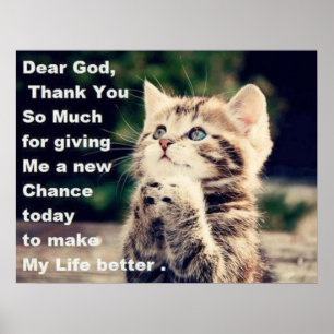Schattig Poster Praying Kitten