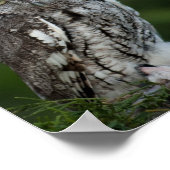 Schattig poster voor schroevendraaien (Hoek)