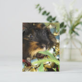 Schattig prettig kerst cavia briefkaart (Staand voorkant)