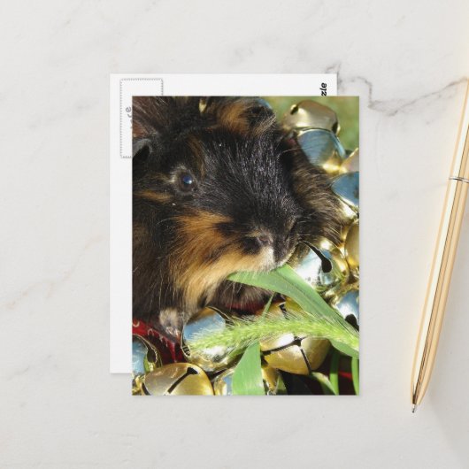 Schattig prettig kerst cavia briefkaart (Voorkant / Achterkant in situ)