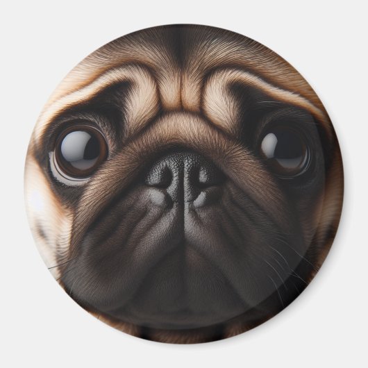 Schattig Pugsgezicht Pugs Magneet (Voorkant)