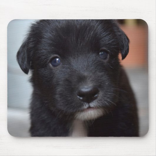 Schattig puppy hond dier muismat (Voorkant)