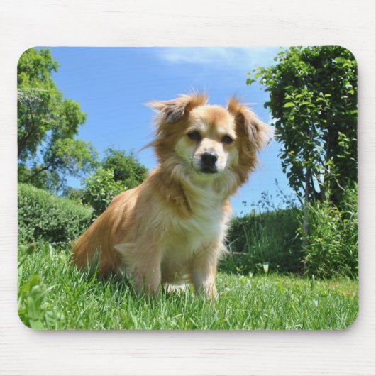 Schattig puppy in de tuin muismat (Voorkant)