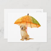Schattig puppy onder herfstkleurparasol briefkaart (Voorkant / Achterkant)