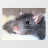 Schattig Raamsticker (Vel)