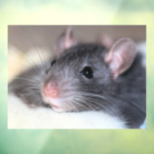 Schattig Raamsticker (Vel 3)