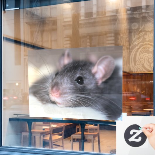 Schattig Raamsticker (Cafe Raam)