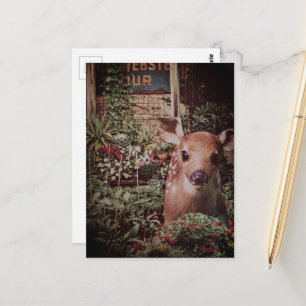 Schattig Reekalf in de Tuin Collage Briefkaart