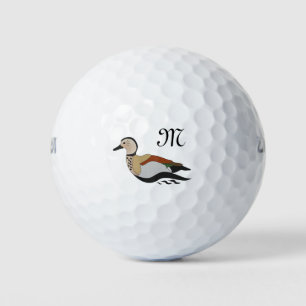 Schattig Ringed Blauwgroen Duck zwemmen Golfballen
