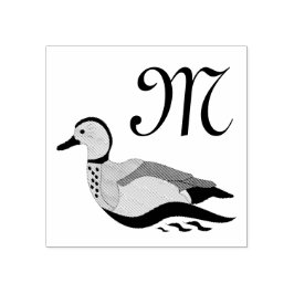 Schattig Ringed Blauwgroen Duck zwemmen Rubberstempel