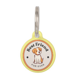 SCHATTIG! Ronde halsband - Beste vriend voor altij Huisdierpenning