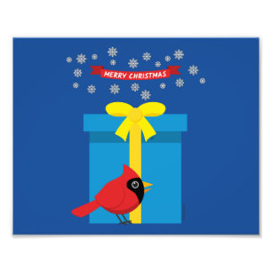 Schattig rood kardinaal met blauw cadeau foto afdruk
