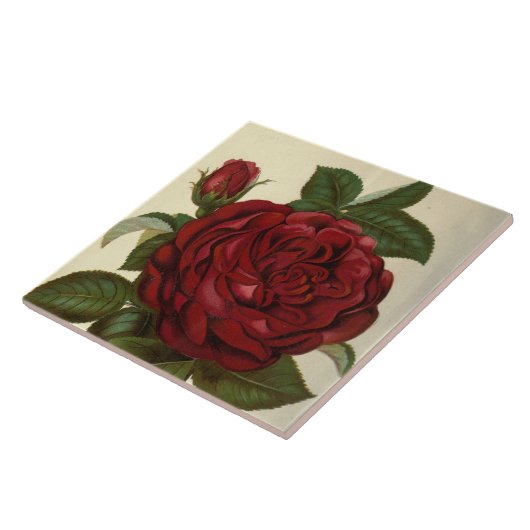 Schattig rood rose  decor tegeltje (Zijkant)