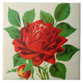 Schattig rood rose decor tegeltje (Voorkant)