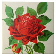Schattig  rood rose decor
