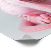 Schattig Roze Sphynx Kat Poster (Hoek)