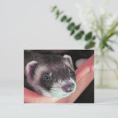Schattig Sable Ferret Foto Briefkaart (Staand voorkant)
