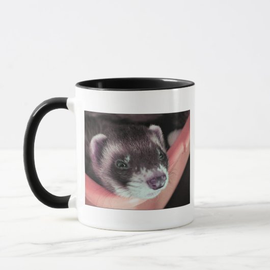 Schattig Sable Ferret Foto Mok (Links)