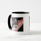 Schattig Sable Ferret Foto Mok (Voorkant links)