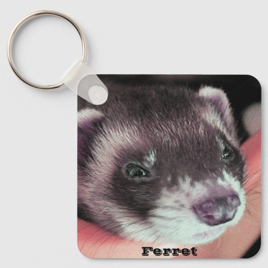 Schattig Sable Ferret Foto Sleutelhanger (Voorkant)