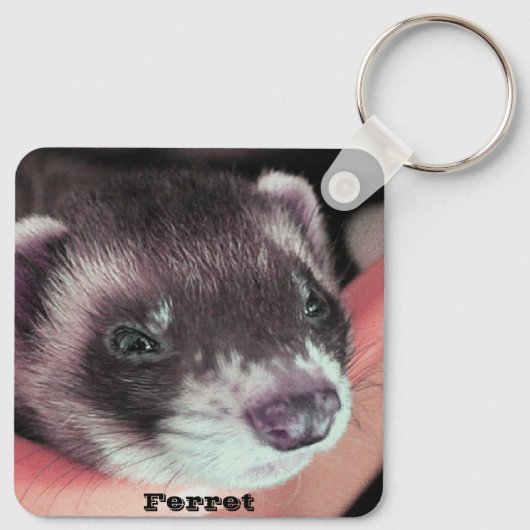 Schattig Sable Ferret Foto Sleutelhanger (Achterkant)
