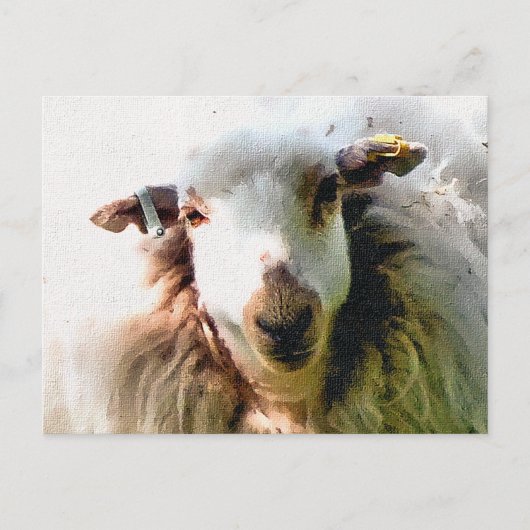 SCHATTIG SCHAAP BRIEFKAART (Voorkant)