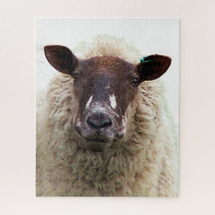 SCHATTIG SCHAAP LEGPUZZEL