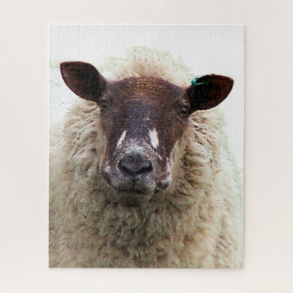 SCHATTIG SCHAAP LEGPUZZEL