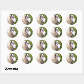 SCHATTIG SCHAAP RONDE STICKER (Vel)