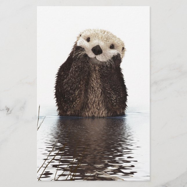 Schattig Schattig pluizig otter dier (Voorkant)