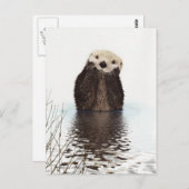 Schattig Schattig pluizig otter dier Briefkaart (Voorkant / Achterkant)