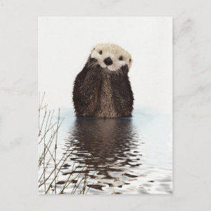 Schattig Schattig pluizig otter dier Briefkaart