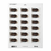 Schattig Schattig pluizig otter dier Etiket (Full Sheet)