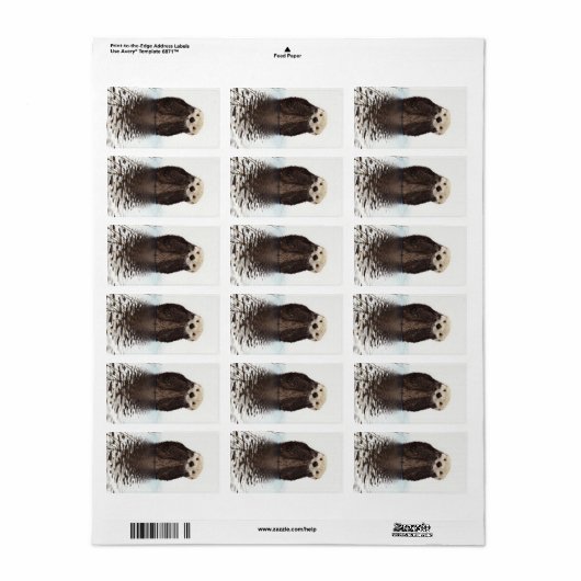 Schattig Schattig pluizig otter dier Etiket (Full Sheet)