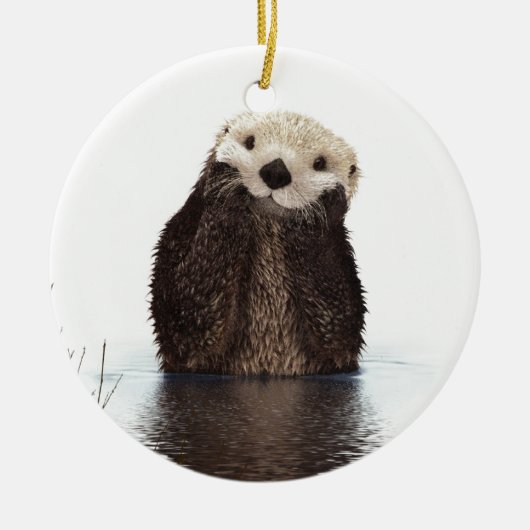 Schattig Schattig pluizig otter dier Keramisch Ornament (Voorkant)