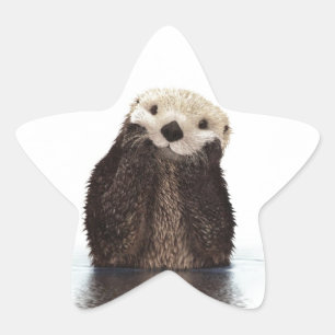 Schattig Schattig pluizig otter dier Ster Sticker
