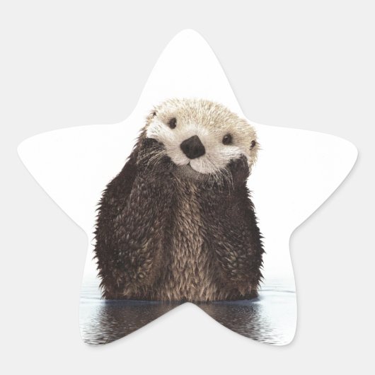 Schattig Schattig pluizig otter dier Ster Sticker (Voorkant)