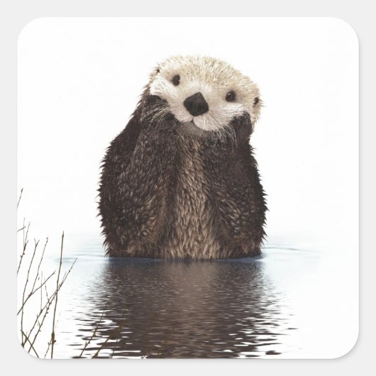 Schattig Schattig pluizig otter dier Vierkante Sticker (Voorkant)