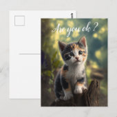 Schattig Schimmelkatje Is Bezorgd Briefkaart (Voorkant / Achterkant)