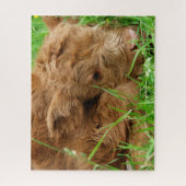 Schattig Schotse hoogland Calf Legpuzzel (Verticaal)