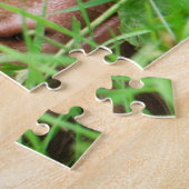 Schattig Schotse hoogland Calf Legpuzzel (Zijkant)