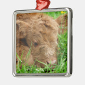 Schattig Schotse hoogland Calf Metalen Ornament (Links)
