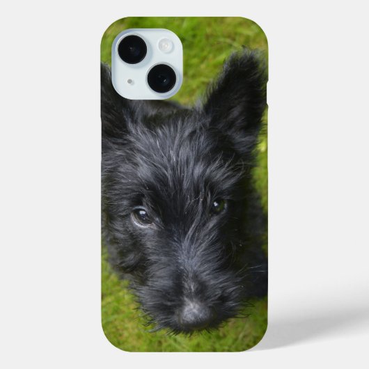 Schattig Schotse Puppygezicht Case-Mate iPhone Case (Achterkant)