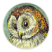  schattig schuur uil sterrenbeeld nacht illustrati keramische knop (Voorkant)