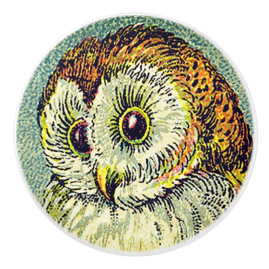  schattig schuur uil sterrenbeeld nacht illustrati keramische knop (Voorkant)